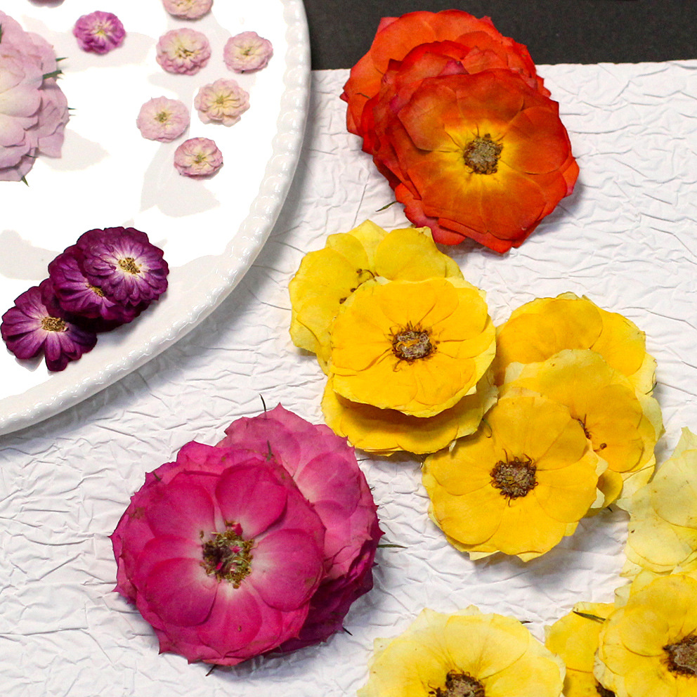 Dried Flower Bulk - 48 Yellow Mixed-Size Pressed Real Roses