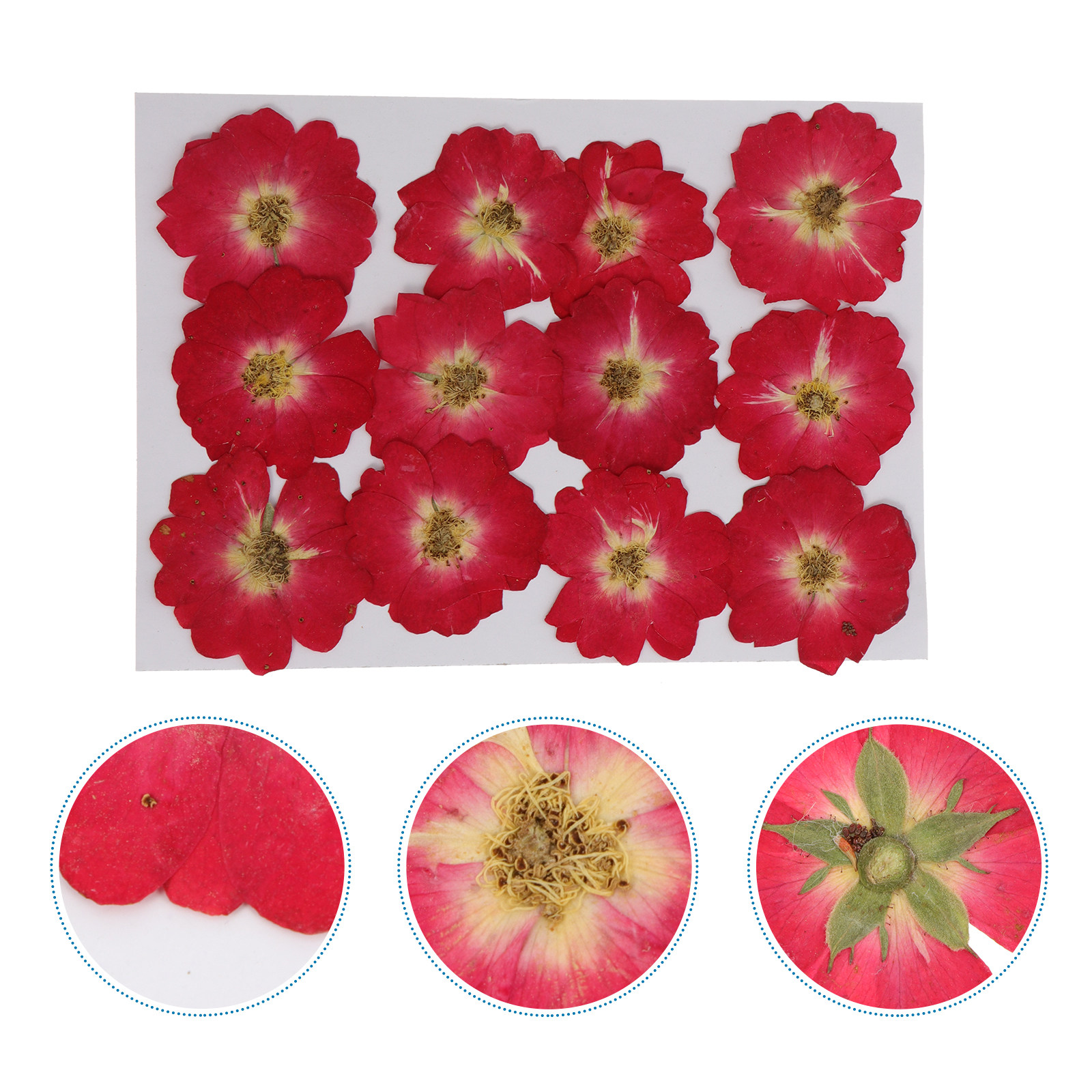 Resin Jewelry Kit - 12Pcs Natural Dried Rose Pressed Flowers