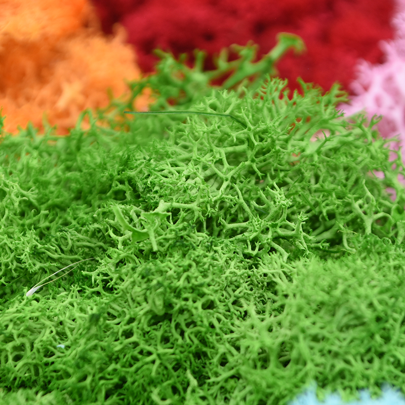 20/40g Artificial Green Plants – Terrarium Moss Art recenzja i cena