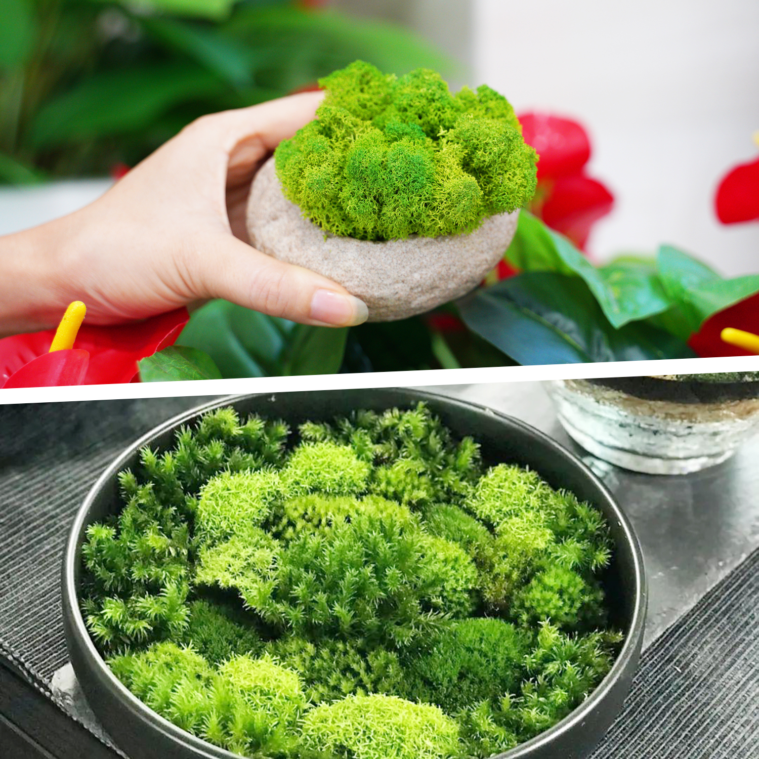 Artificial Green Plants Eterna – Terrarium Moss Art recenzja i cena