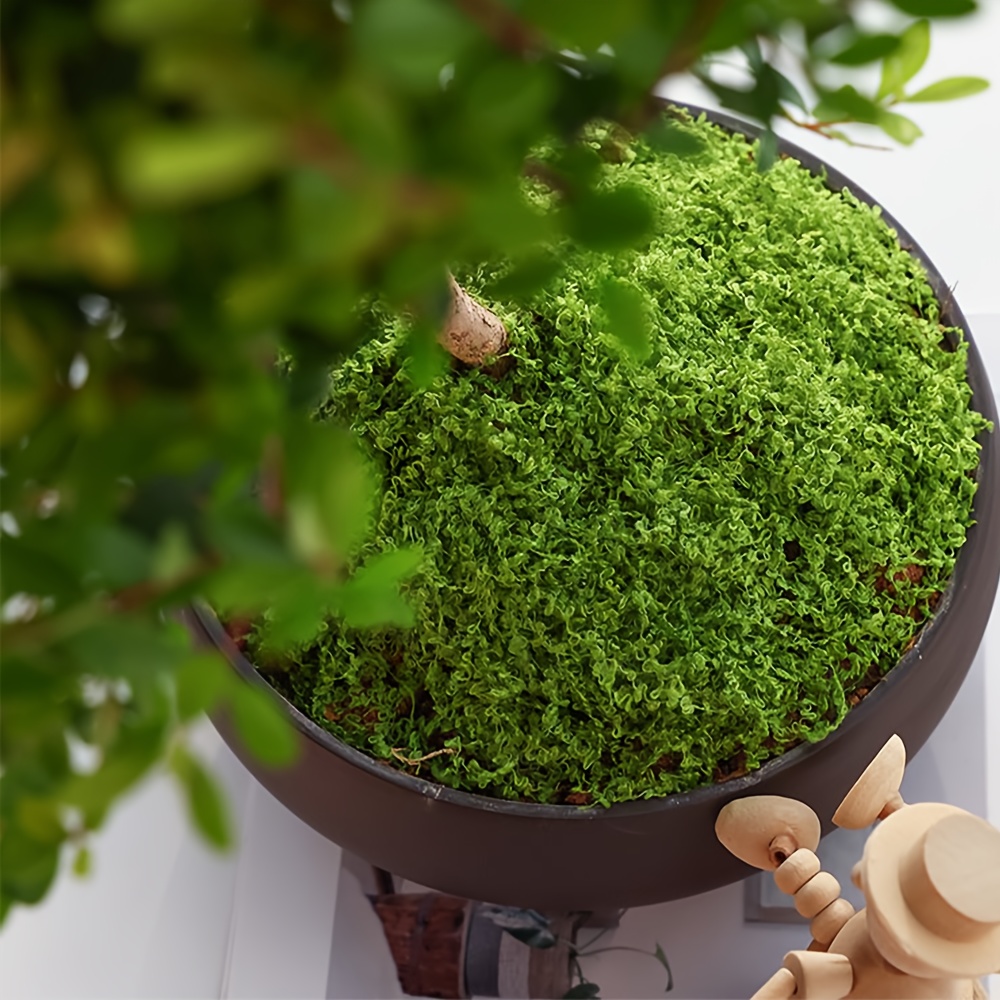 1pack Artificial Fake Moss, 1. – Terrarium Moss Art recenzja i cena