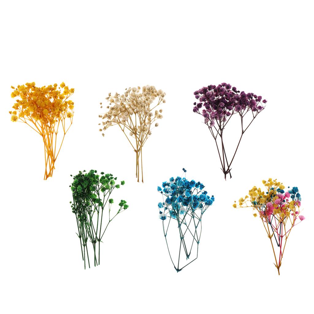 Pressed Dried Natural Flowers  – Resin Craft Ideas recenzja i cena