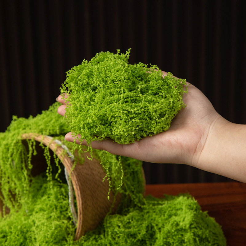 200g Eternal Life Moss DIY Cra – Terrarium Moss Art recenzja i cena