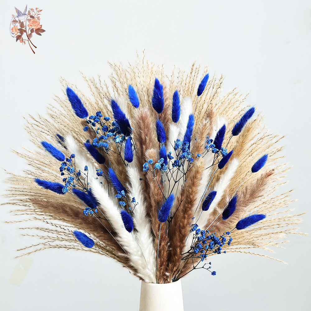70 Stem Blue Fluffly Rabbit Ta – Dried Flower Bulk recenzja i cena