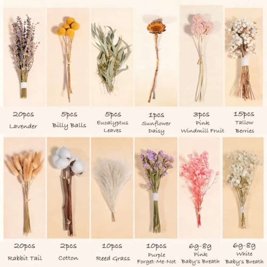 12 Kinds Natural Dried Flower  – Dried Flower Bulk recenzja i cena