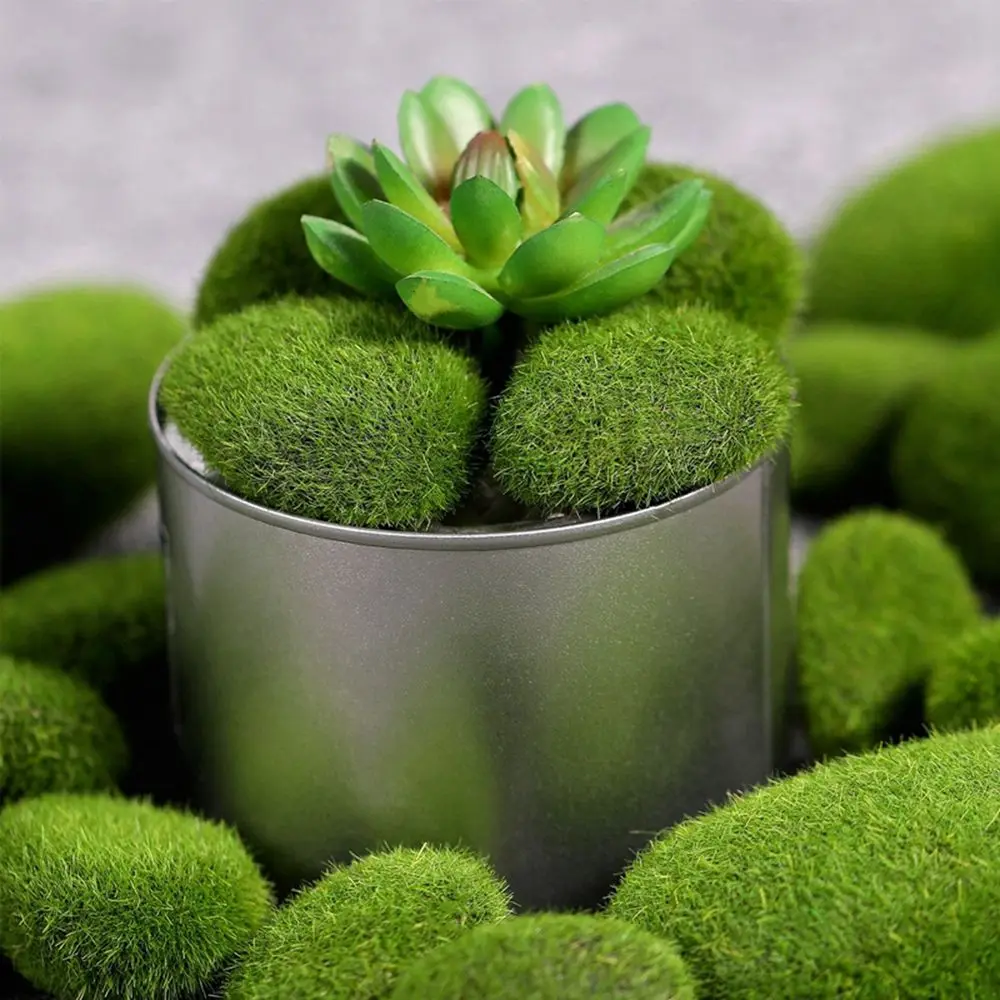 Floral Arrangements Fake Stone – Terrarium Moss Art recenzja i cena