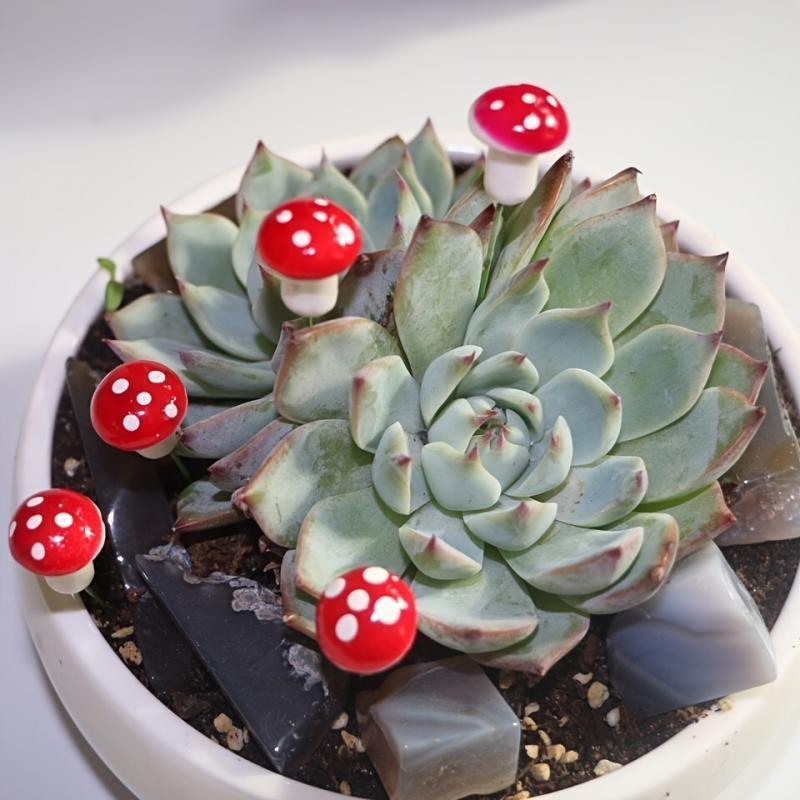 10-80PCS Mini Color Mushroom D – Terrarium Moss Art recenzja i cena