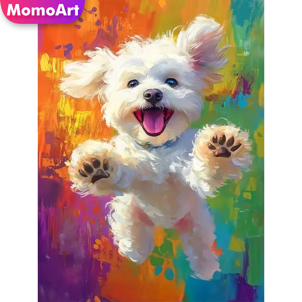 Momoart DIY Diamond Painting D – Resin Craft For Beginners recenzja i cena