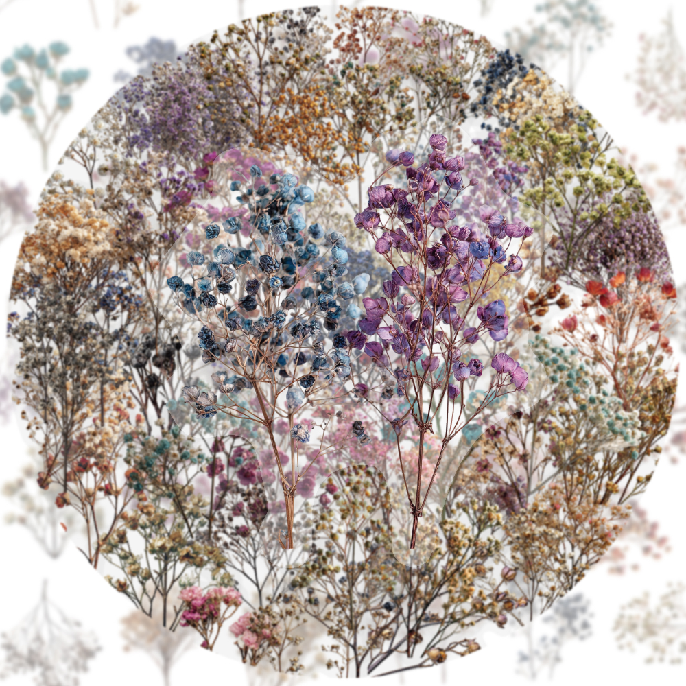 50PCS Retro Color Dried Flower – Dried Flower Bulk recenzja i cena