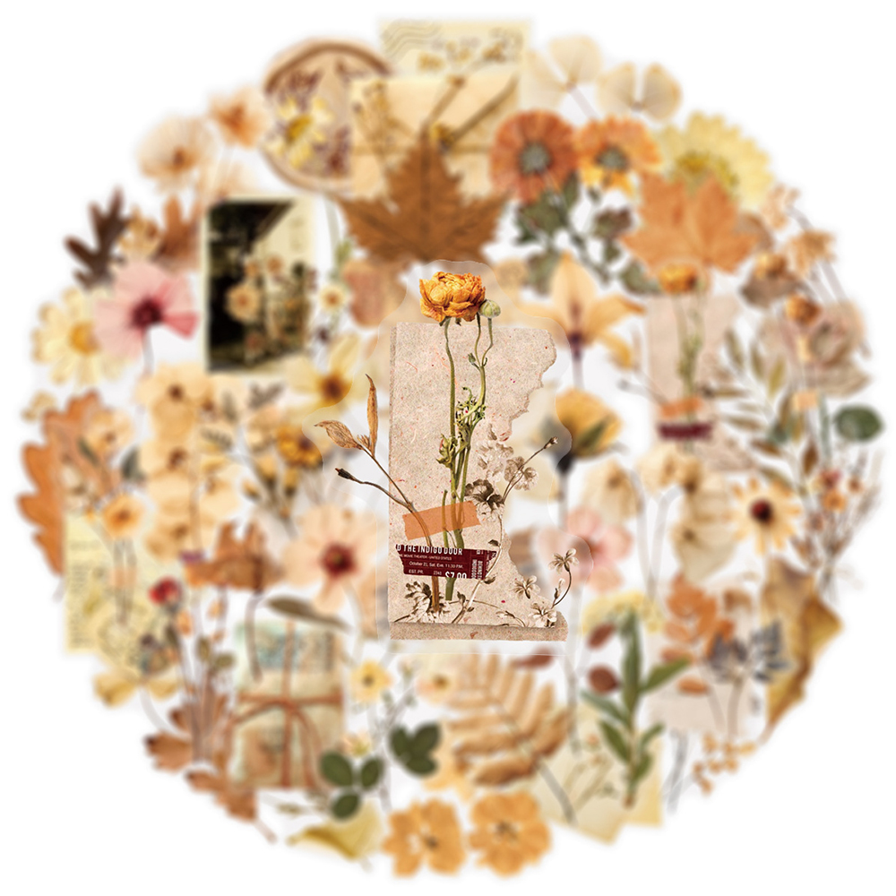 10/30/50pcs Transparent Dried  – Dried Flower Bulk recenzja i cena