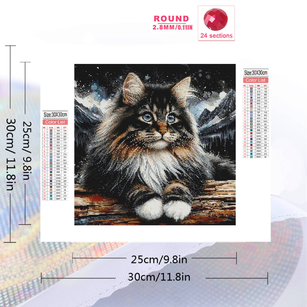 1pc frameless  5D DIY Diamond  – Resin Craft Kit recenzja i cena