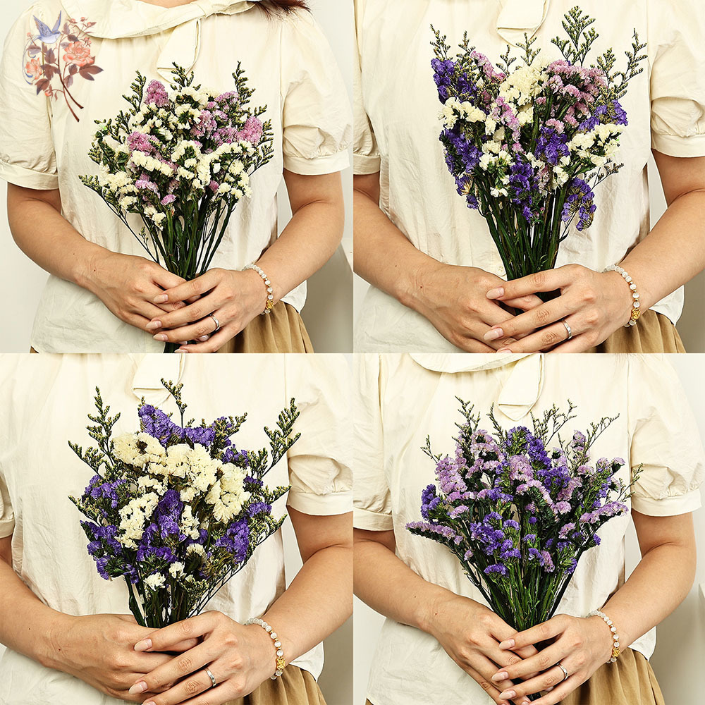 100g Natural Real Forget-me-no – Dried Flower Bulk recenzja i cena