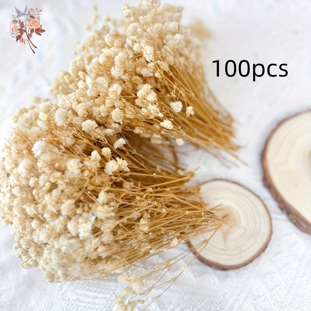 100pcs Mini Dried Baby's Breat – Dried Flower Bulk recenzja i cena